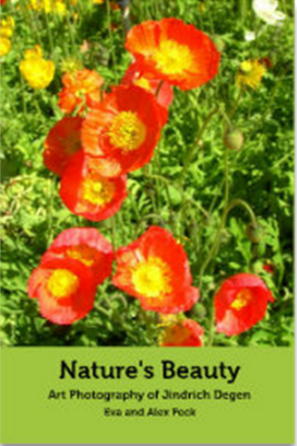 Nature's Beauty cover