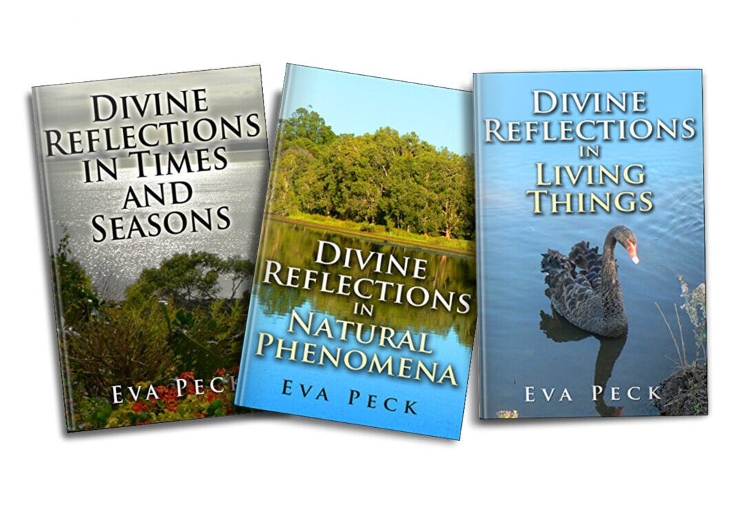 Divine Reflections Trilogy
