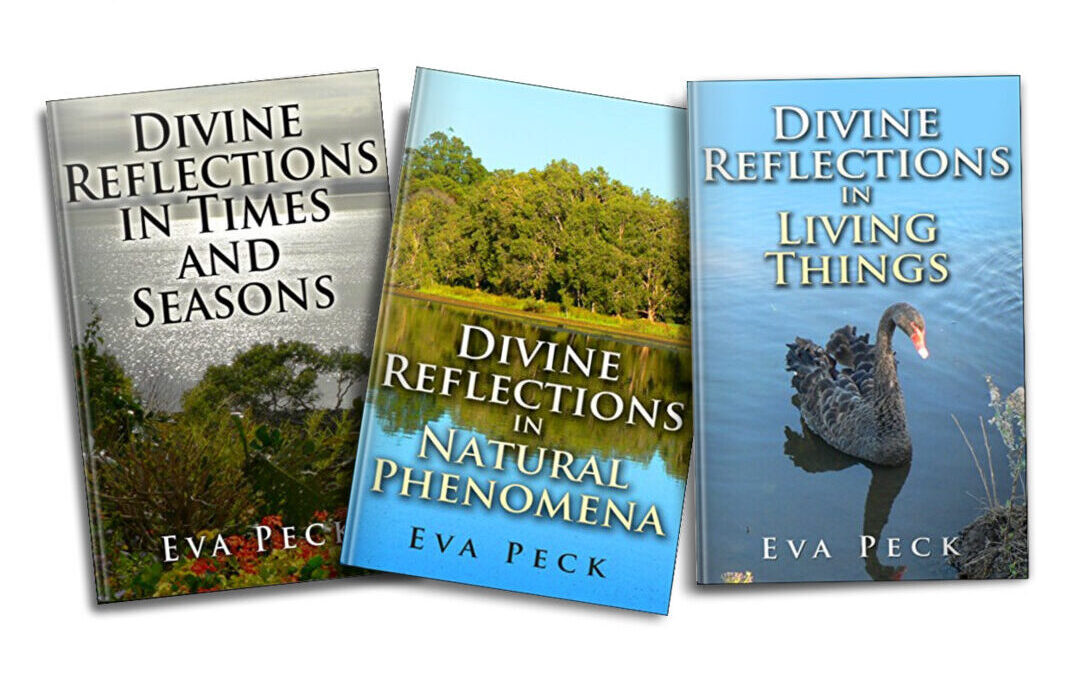 Divine Reflections Trilogy